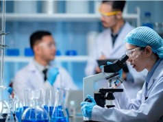  Chính sách ưu đãi đặc biệt cho Tổng công trình sư, Kiến trúc sư trưởng KH&CN